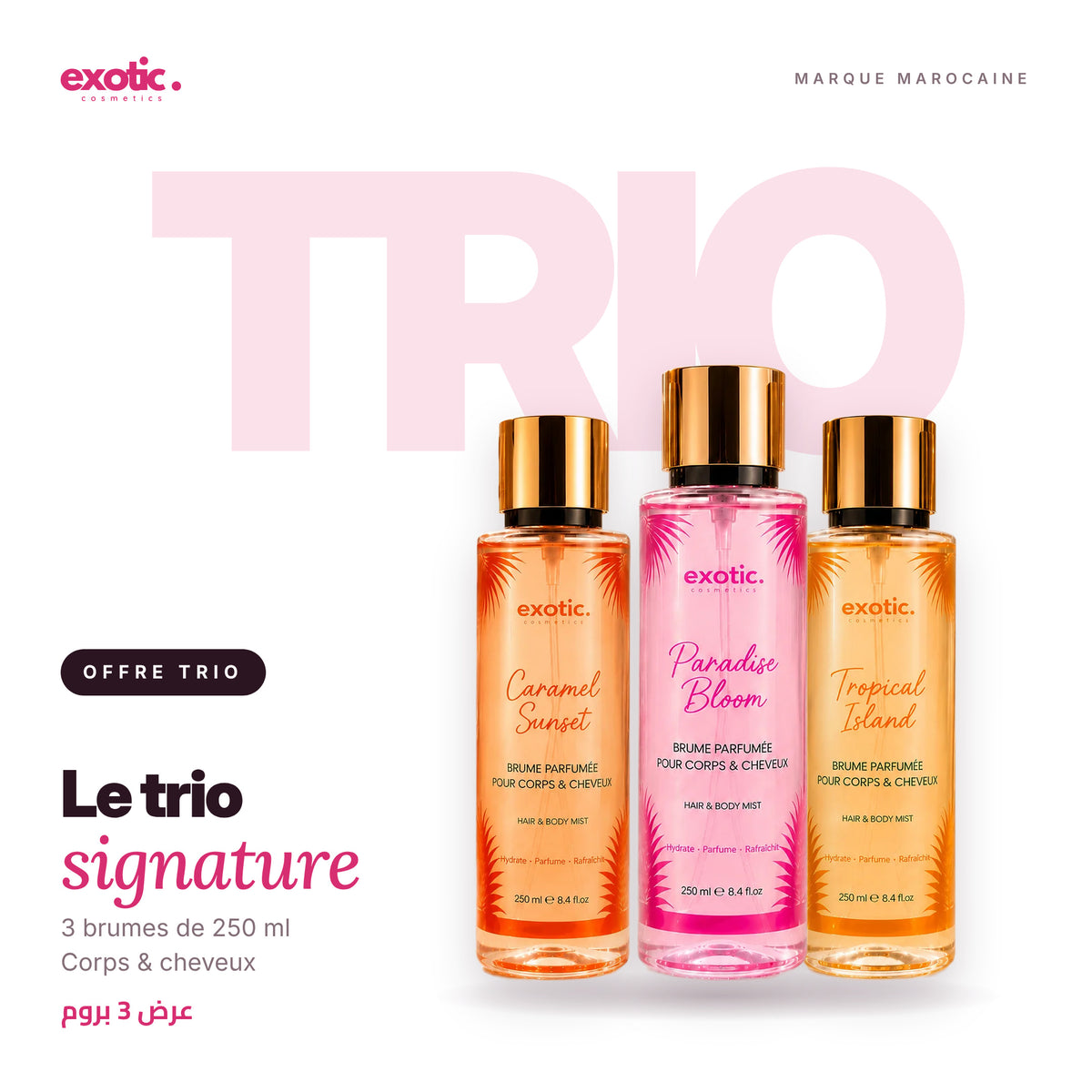 Offre de 3 Brumes